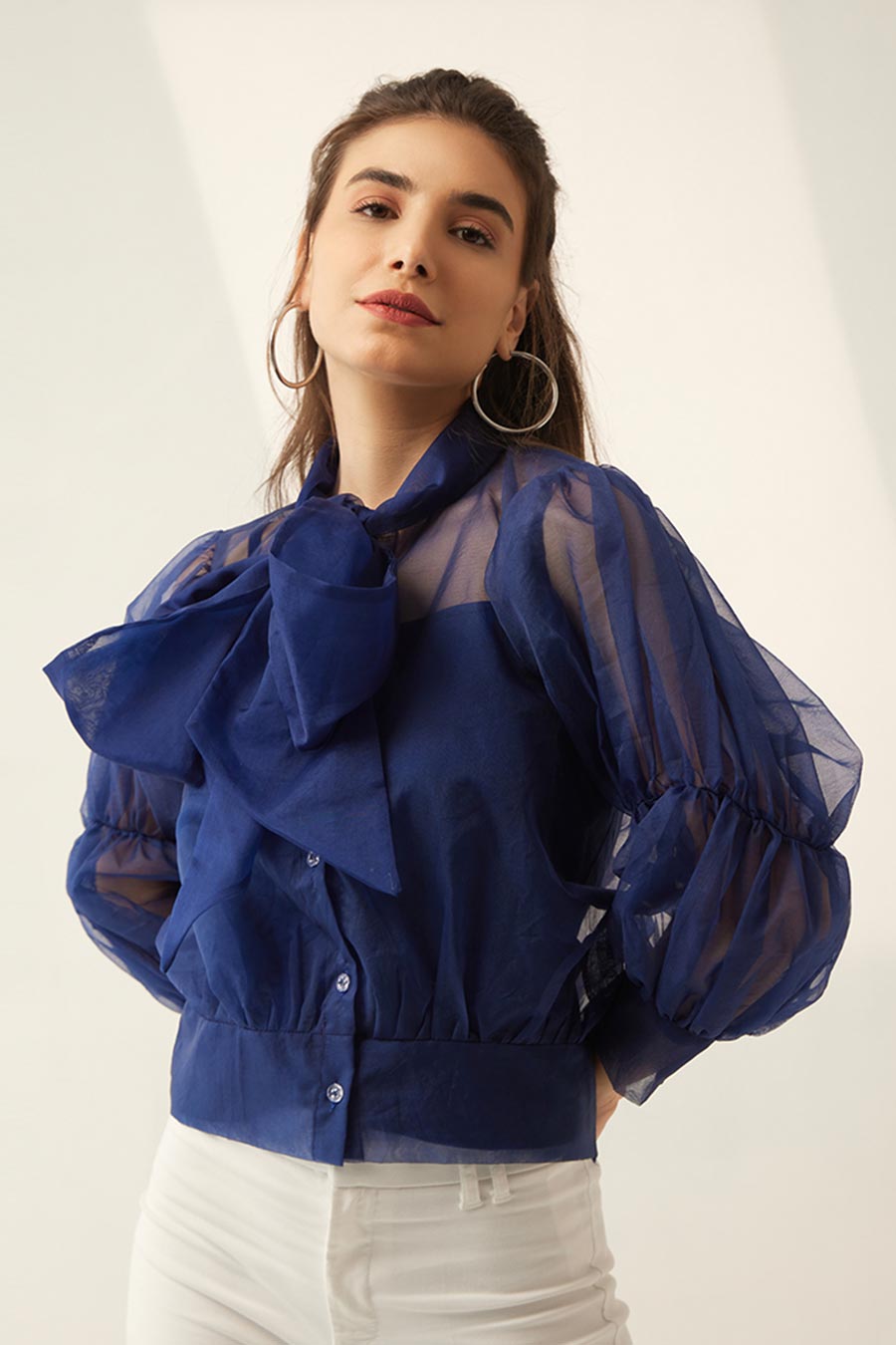 Blue Organza Sheer Top