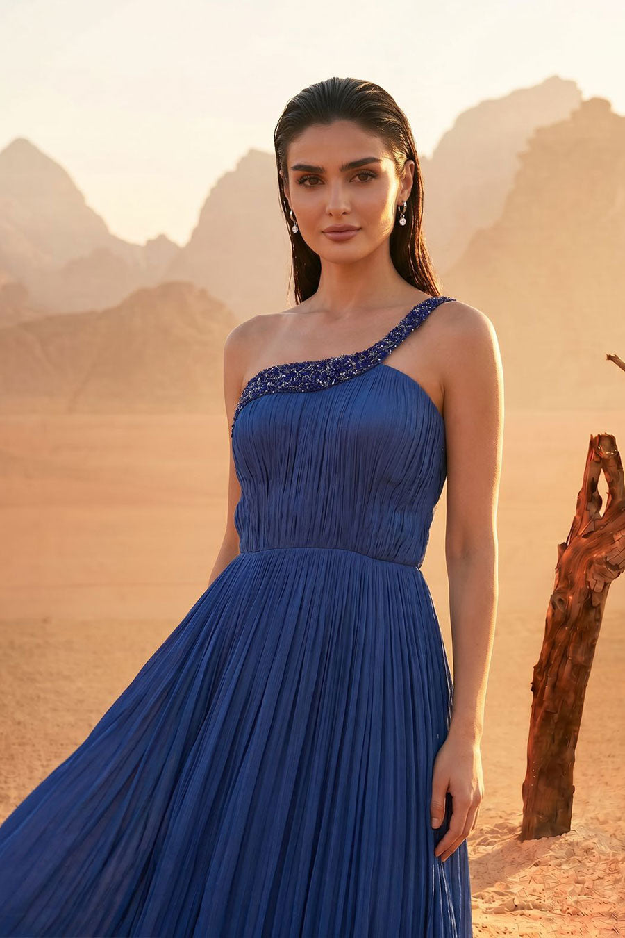 Blue Embroidered One-Shoulder Pleated Gown