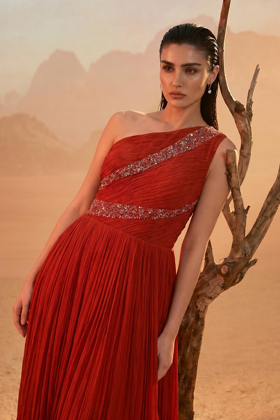Rust Orange Embroidered One-Shoulder Pleated Gown
