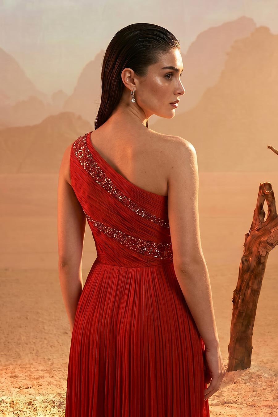 Rust Orange Embroidered One-Shoulder Pleated Gown