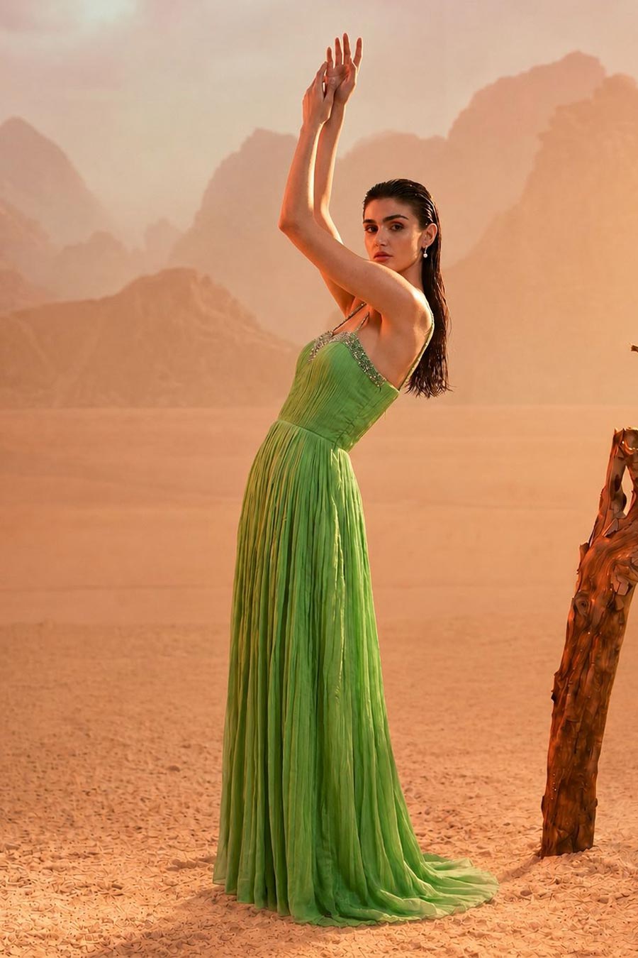 Tea Green Embroidered Pleated Gown