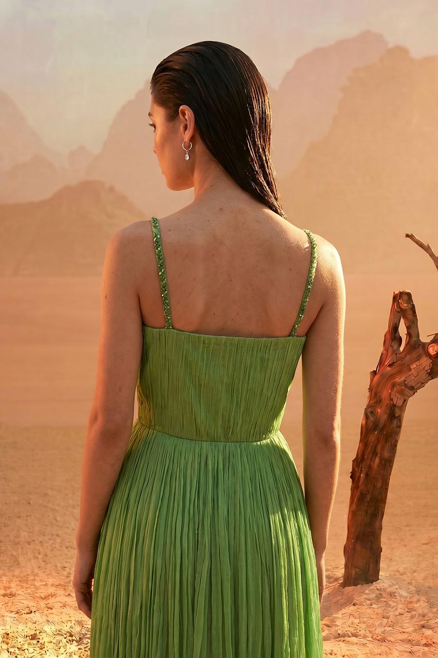 Tea Green Embroidered Pleated Gown