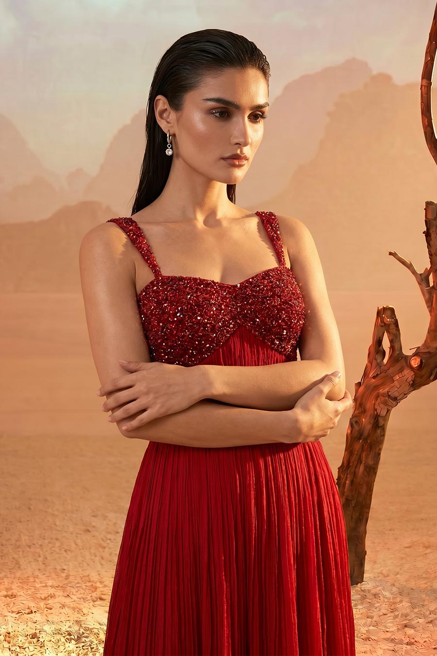 Red Embroidered Pleated Gown