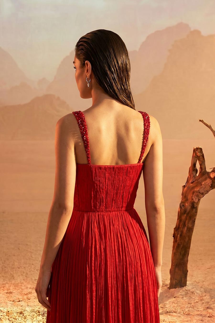 Red Embroidered Pleated Gown