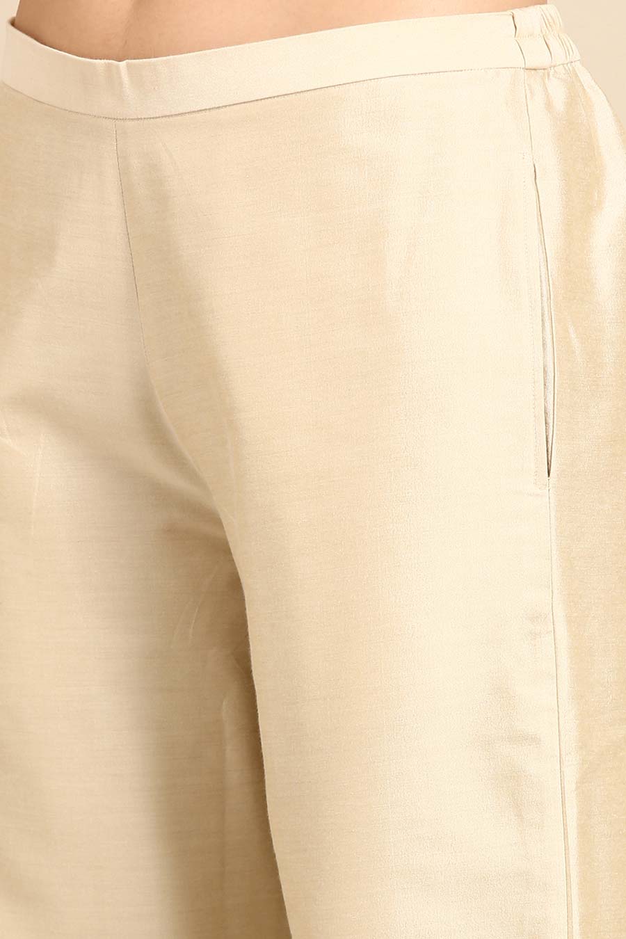 Beige Embroidered Palazzo Pant