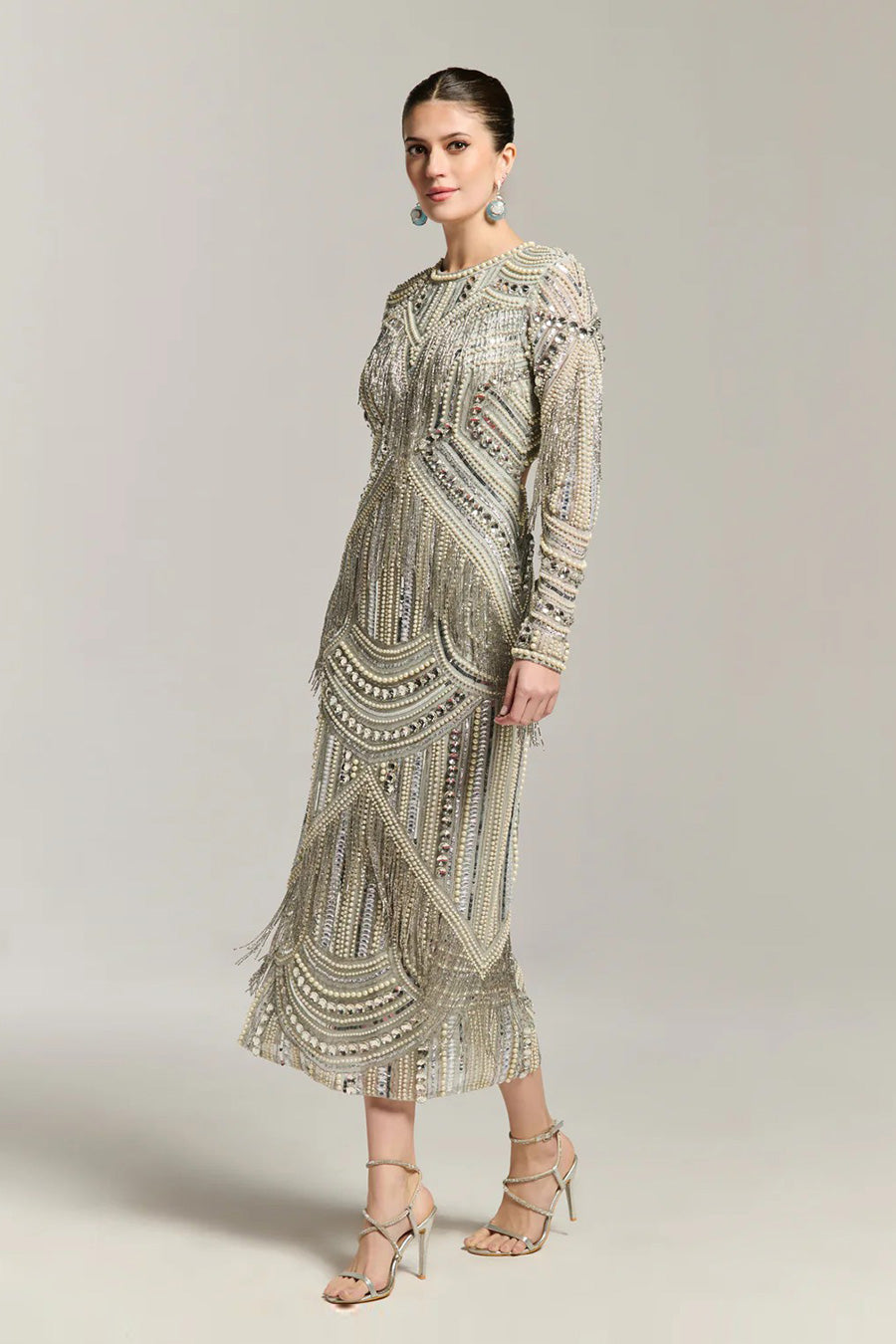 Silver Elegance Fringe Embellished Dress