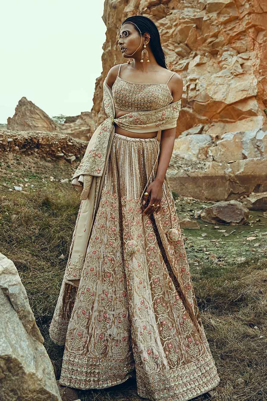 Beige Velvet Floral Embroidered Lehenga Set