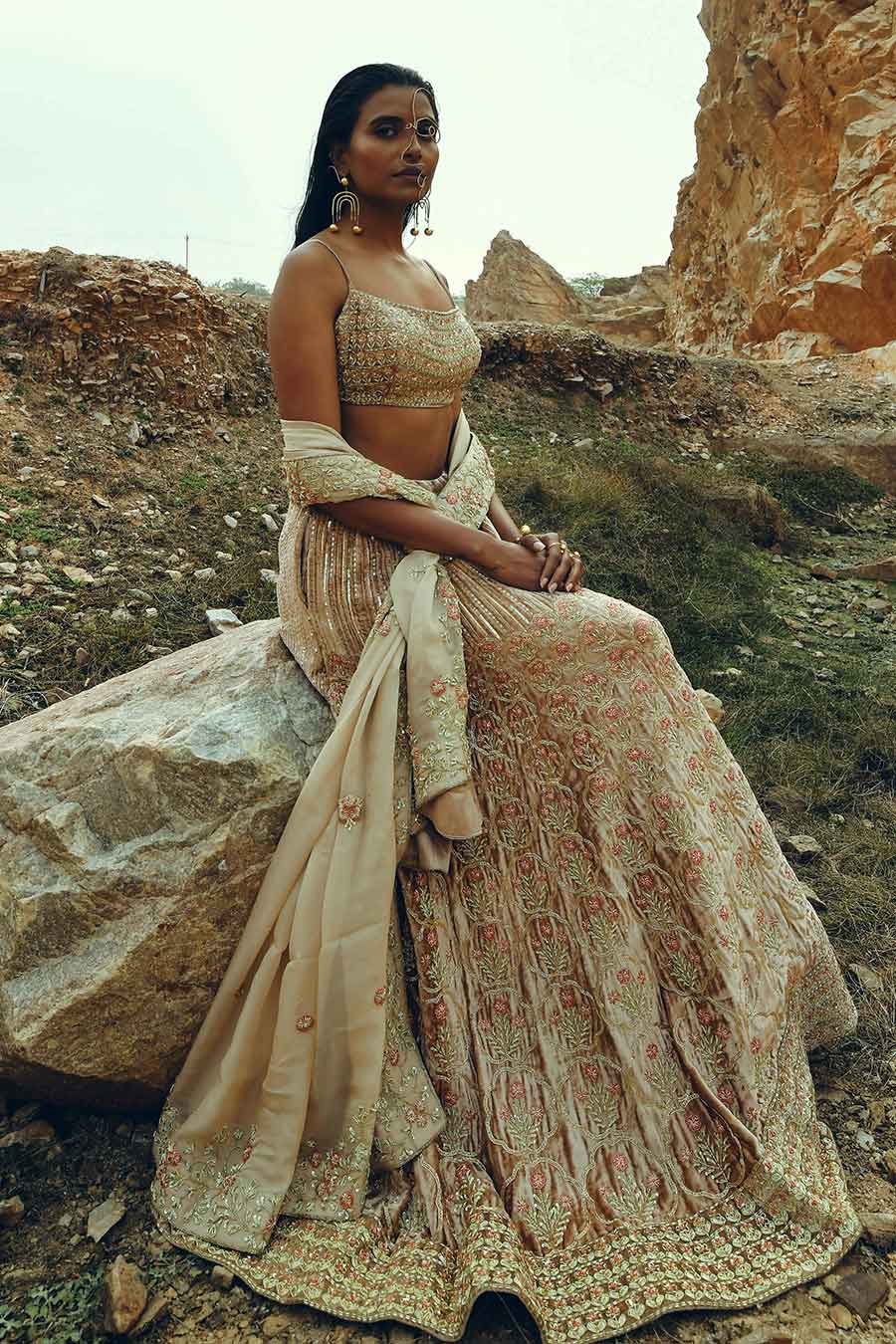 Beige Velvet Floral Embroidered Lehenga Set