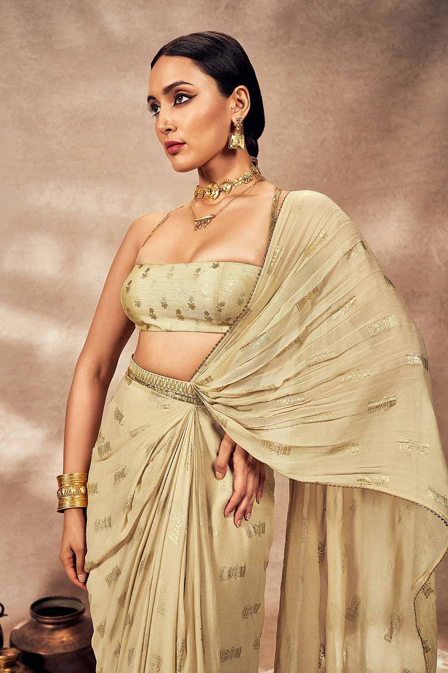 Beige Timber Tribe Printed Pre-Draped Saree Set