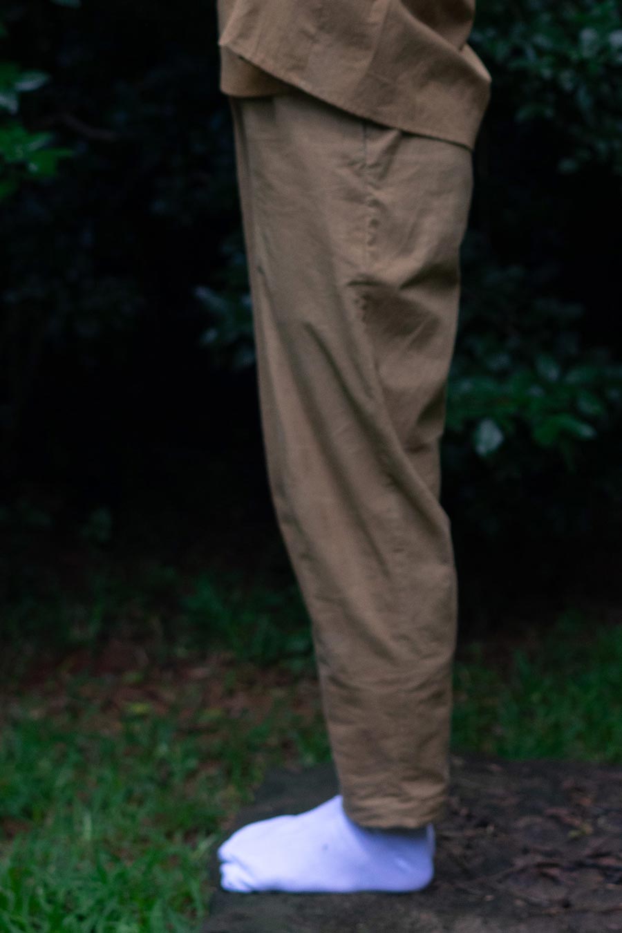 Brown Trouser