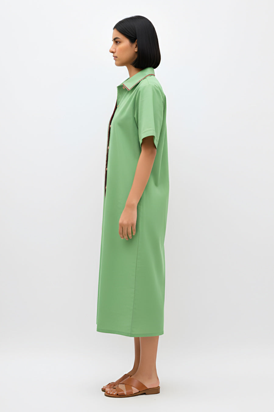 Asparagus Green-Tuscan Red Shirt Dress