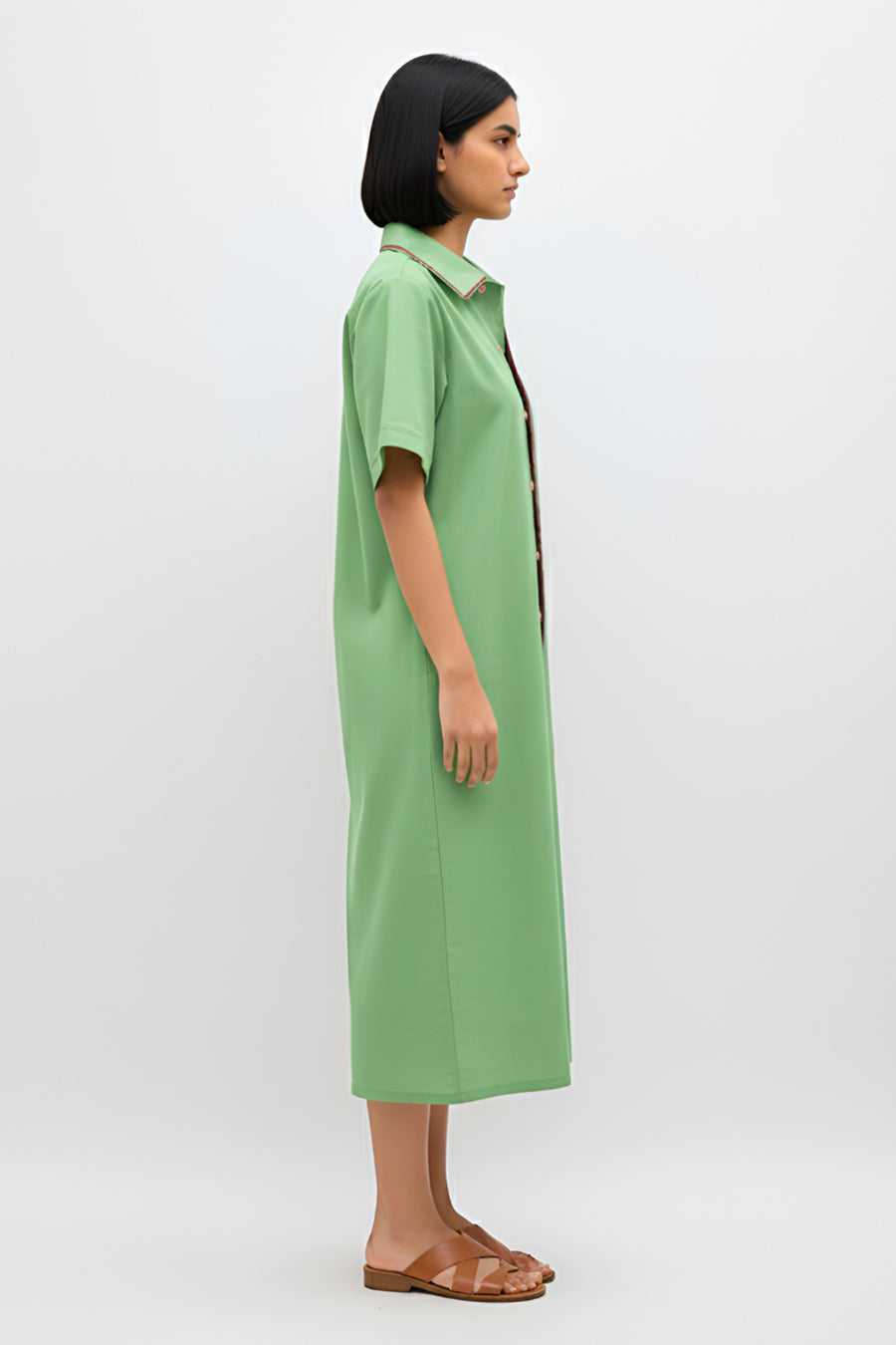 Asparagus Green-Tuscan Red Shirt Dress