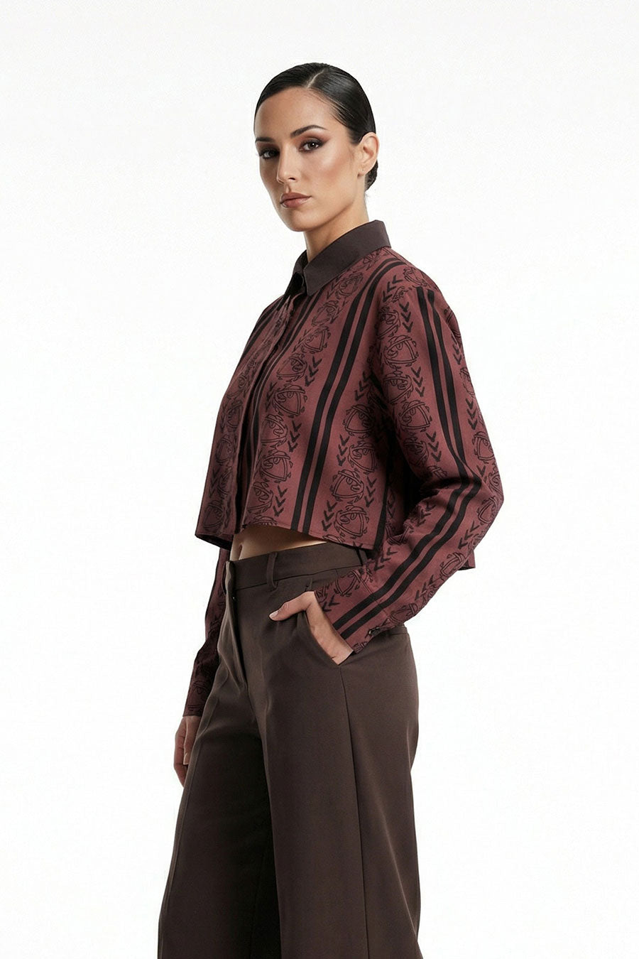 Red Celestial Descent Printed Cropped Shirt
