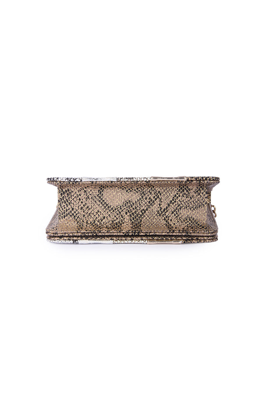 Multicolour Snakeskin Printed Clutch