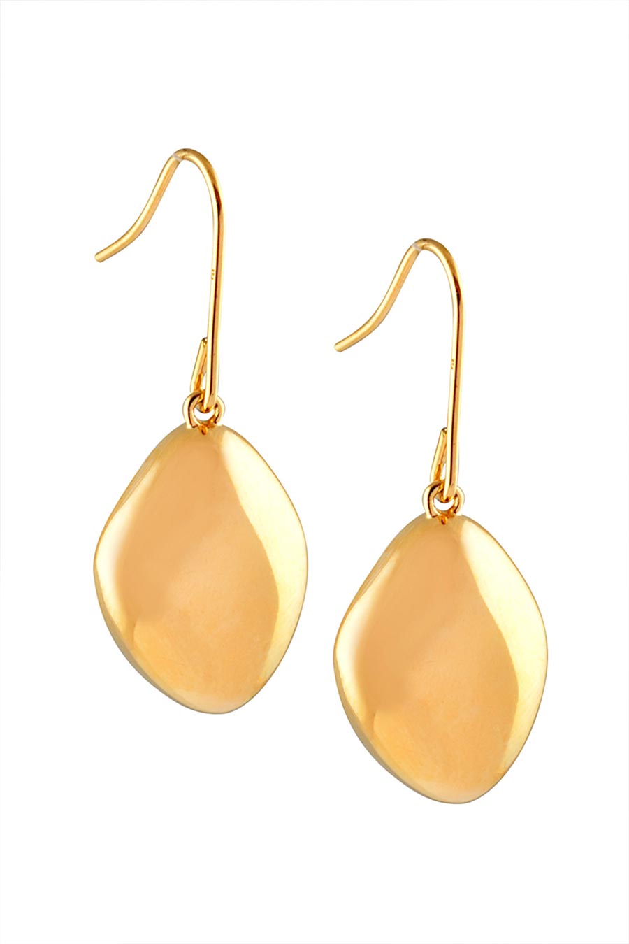 Golden Metal Head Dangler Earrings