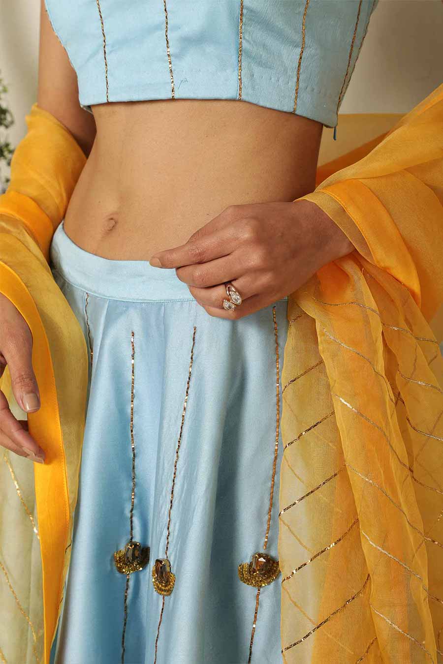 Blue Hand Embroidered Lehenga Set