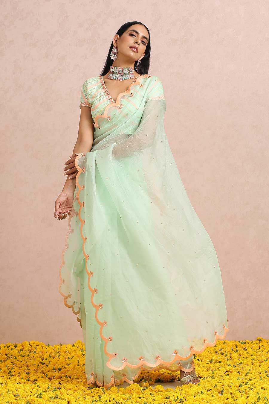 Mint Organza Beaded Saree & Blouse Set