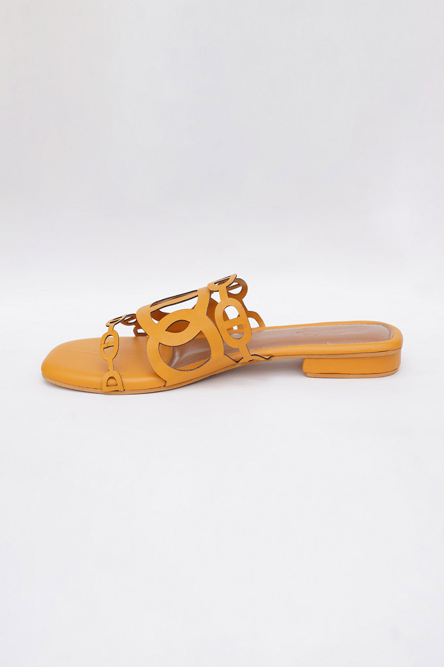 Yellow Sunshine Flats