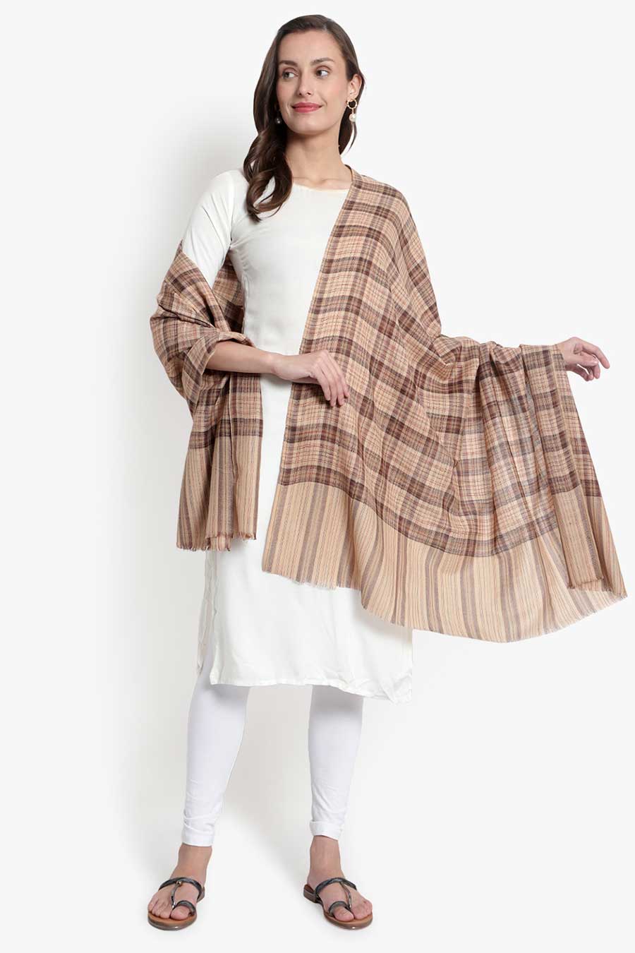 Beige & Brown Checks Kashmiri Shawl