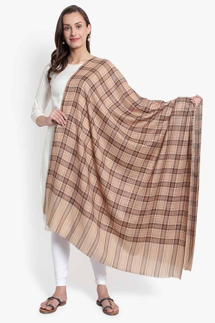 Beige & Brown Checks Kashmiri Shawl