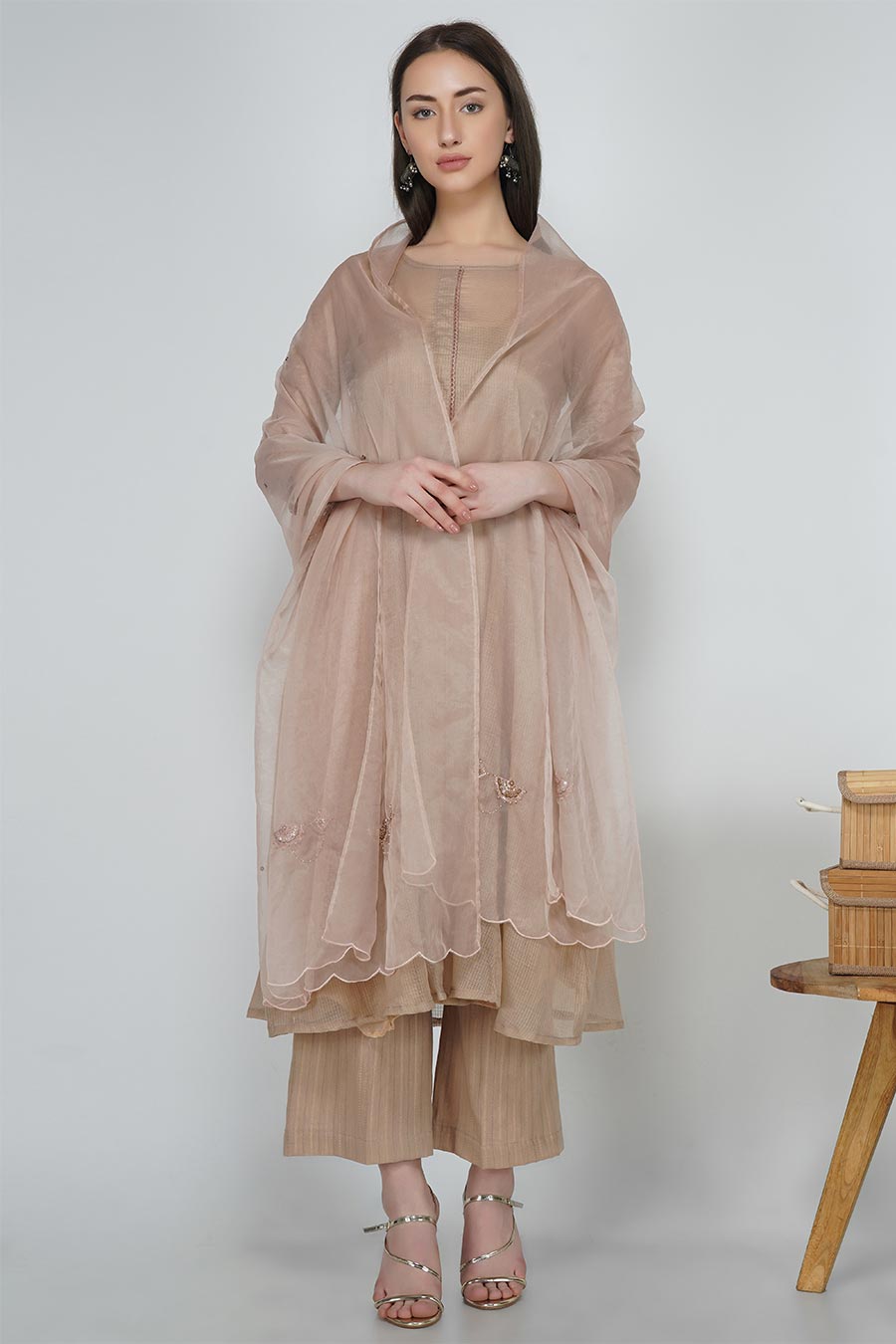Champagne Organza Embroidered Dupatta